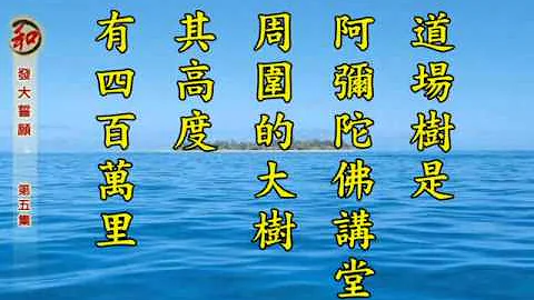 【净空法师】发大誓愿05 - 天天要闻