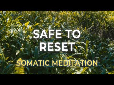 Guided Meditation for Burnout Recovery | Calm Your Nervous System and Just Be
