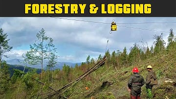 Coastal Yarding Fast Pull - Real Life Forestry & Logging - FDR Logging