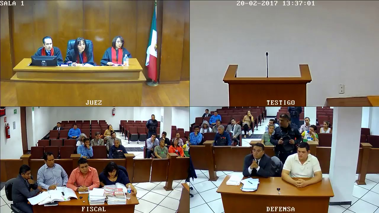 Alegatos de Apertura Lesiones Reales