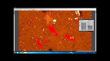 How to measure Particle analysis using the iWorks FX software