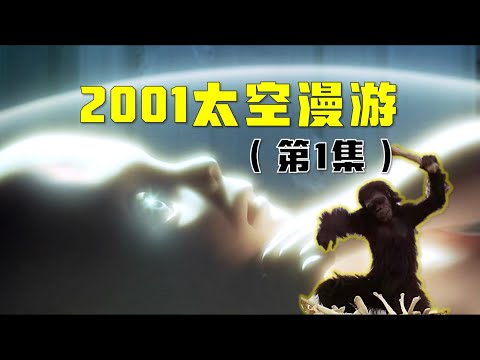 《2001太空漫遊》在講什麼？（第1集）人類的黎明