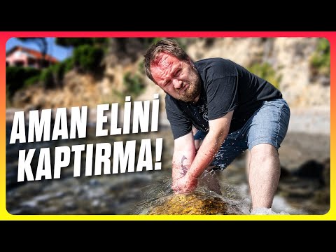Denizdeki GERÇEK Tehlikelere Hazır mısın?