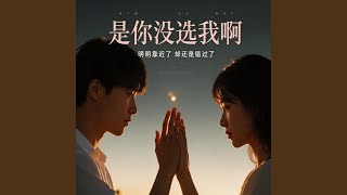 是你没选我啊