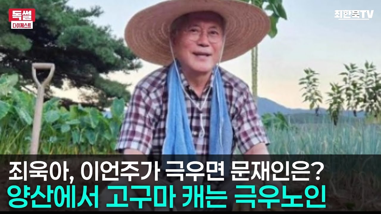 양산에서 고구마 캐는 극우노인