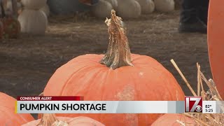Pumpkin shortage