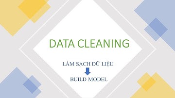 Làm sạch dữ liệu trước khi xây dựng mô hình Machine Learning | Data Cleaning in Python