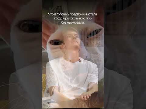 Что в голове у предпринимателей, когда я рассказываю про бизнес-модели #бизнес #предприниматель