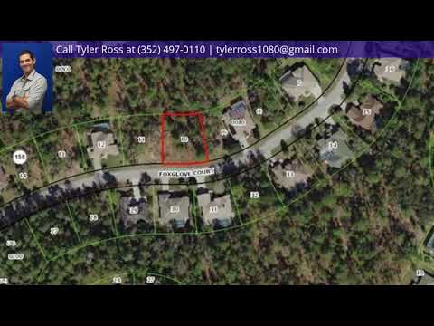 22 Foxglove Court, Homosassa, FL home video tour