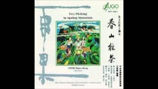 Boon Chong Choo/Fu Jian Wang 朱文昌笛子獨奏 - 5.Spring in Jiangnan 江南春