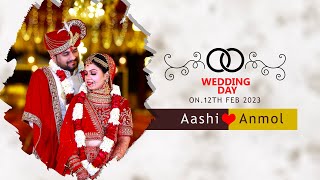 Aashi Weds Anmol Wedding Highlights