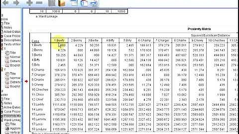 SPSS: Hierarchical Clustering