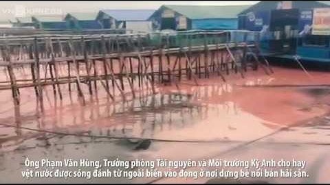 Dải nước đỏ dài 50 m ở cảng Vũng Áng