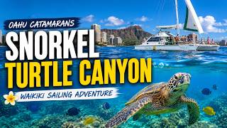 Waikiki Turtle Snorkel Cruise | Oahu Catamarans Waikiki Sailing Turtle Canyon Snorkel Cruise By Catamaran In Oahu