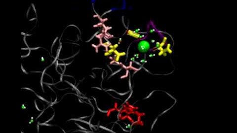 Na+ dissociation from thrombin