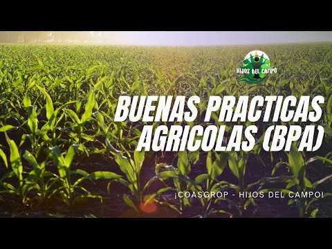 BUENAS PRACTICAS AGRICOLAS