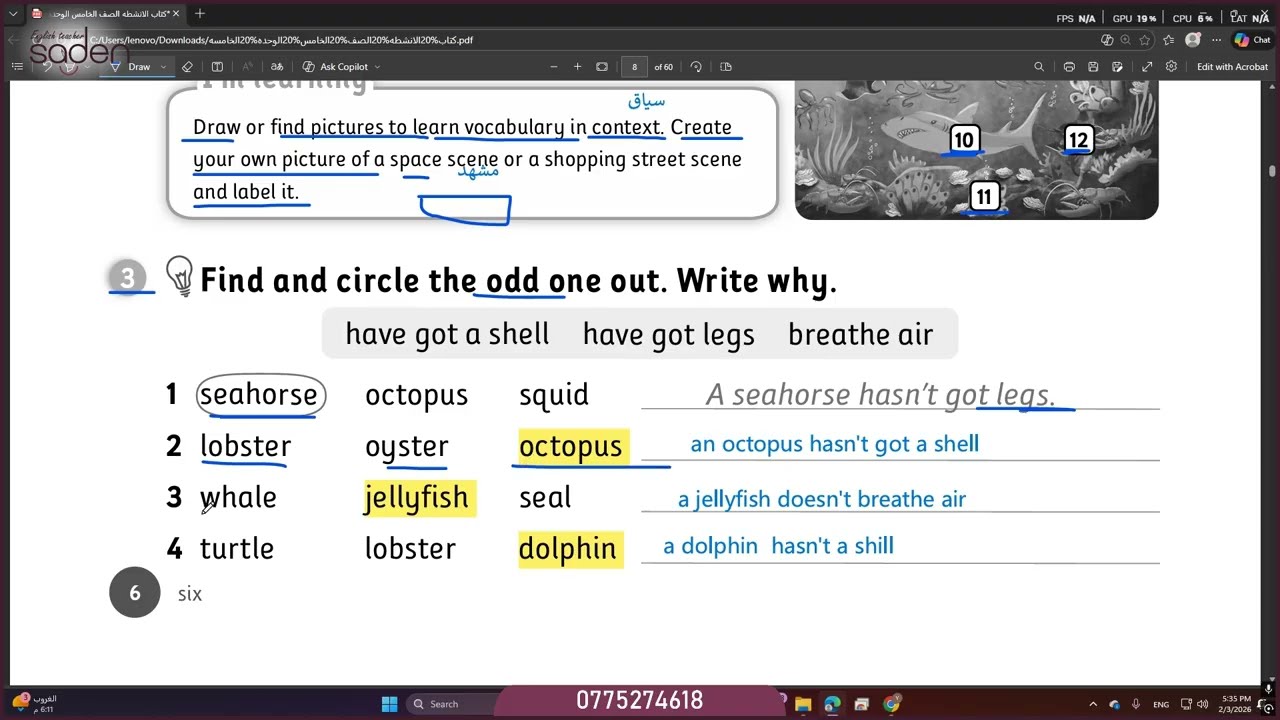 حل اسئلة كتاب الانشطه الجزء الاول -للغة الإنجليزية  - الصف الخامس الأساسي  - المعلمة سادن نضال