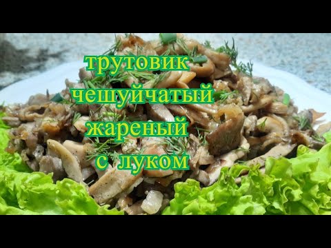 Трутовик чешуйчатый жареный с луком. Вкусные жареные, лесные грибы. Грибное меню на сковородке.
