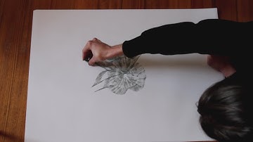 Charcoal Artwork Doodle Process Video - [SATISFYING] - Byron M. Smith. 2021