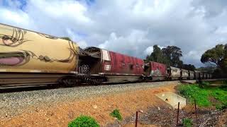 CBH 010, 024, 003  with 1K67 empty ng grain, crossing over the road at KATRINE.  19.07.2026.