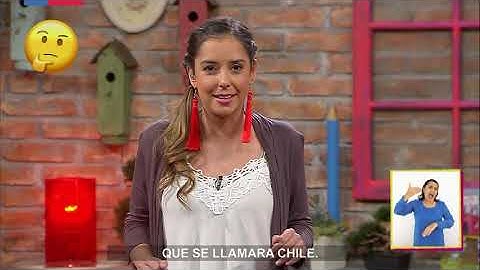 AprendoTV 2021 - 1° y 2° básico - Capítulo 33: Preparando la visita