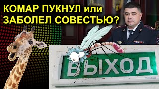 Трейлер КОМАР ПУКНУЛ или ЗАБОЛЕЛ СОВЕСТЬЮ? 2023.06.26 Сургут