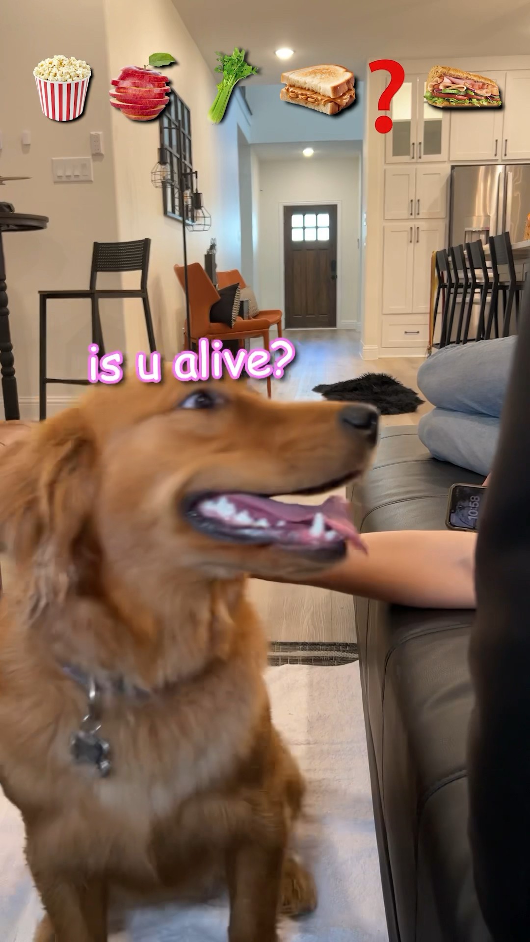 Where Did my Lunch Go?