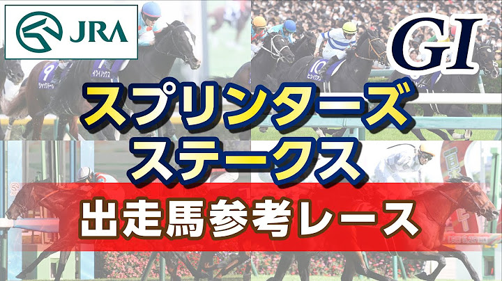 【参考レース】2024年 スプリンターズステークス｜JRA公式