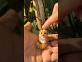 Lovely #animalshorts #animallovers #cuteanimals #cuteanimal #viralvideo #viralshort