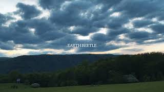 Earth Beetle