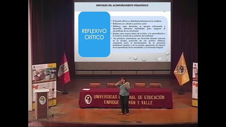 Acompaamiento pedaggico al docente de aula - Dra. ...