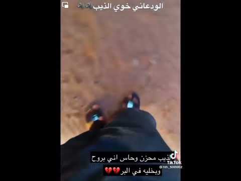 الذئب يبكي لفراق صاحبه