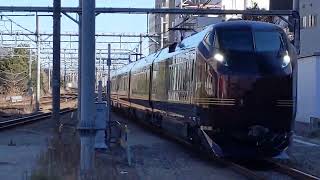 【和(なごみ)団臨】JR E655系なごみ 東オク編成 9031M 団臨 河津行 川崎駅通過!
