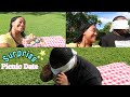 SURPRISE PICNIC ON BOYFRIEND | DIY!