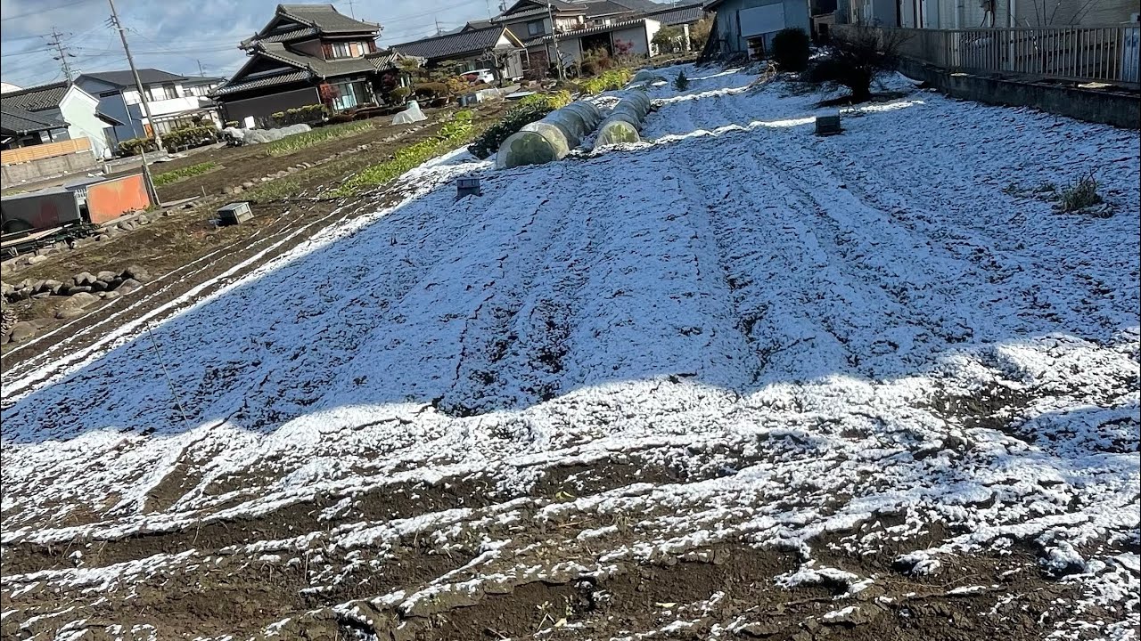 Aprendendo a andar de patinete/ indo na conveniência -Coreia do Sul (02/03/2026)