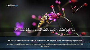 Sourate An-Nahl (14-33) - Anas Al Imadi سورة النحل أنس العمادي