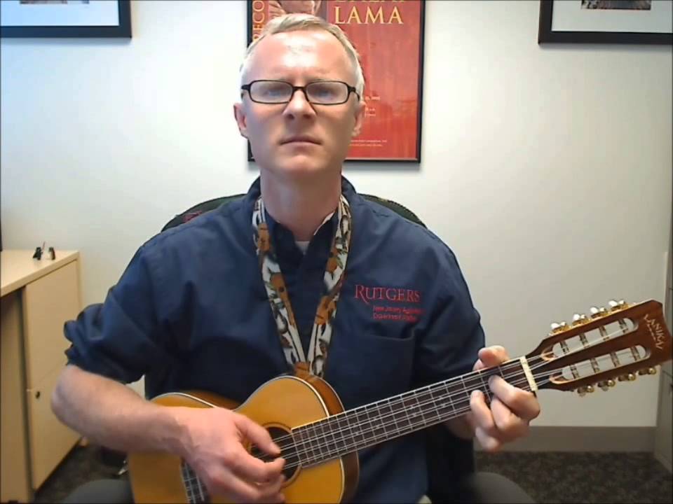 The Trapeze Swinger (ukulele cover) YouTube