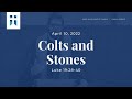 [Live] Worship Service - April 10, 2022 - Hope Valley Baptist Church