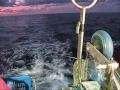 Tuna fishing aboard F V Demi maddison