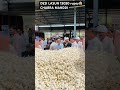 18.6.26🧄#hindustan #garlic #business #onevoice #viralvideo #trending