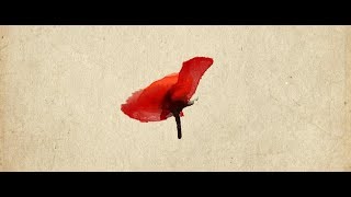 Armistice Ceremony at the National WWI Museum and Memorial