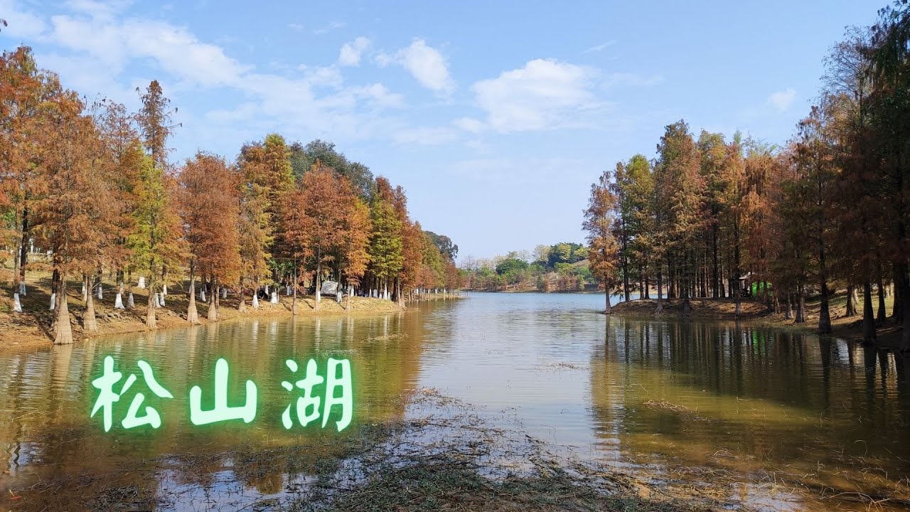 碧頭-松山湖單車 華為溪流背坡村 華為歐洲小鎮