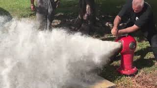 Spartan Fire Hydrant Water Hammer Test | Smooth, Stable Shutoff