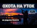 ОХОТА НА УТОК 2020. Очень много уток на перелете. Удачное открытие осеннего сезона. ОХОТА С МАНКОМ