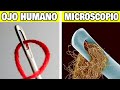 10 Cosas Mas Extrañas Que Solo Puedes Ver Bajo El Microscopio 😨