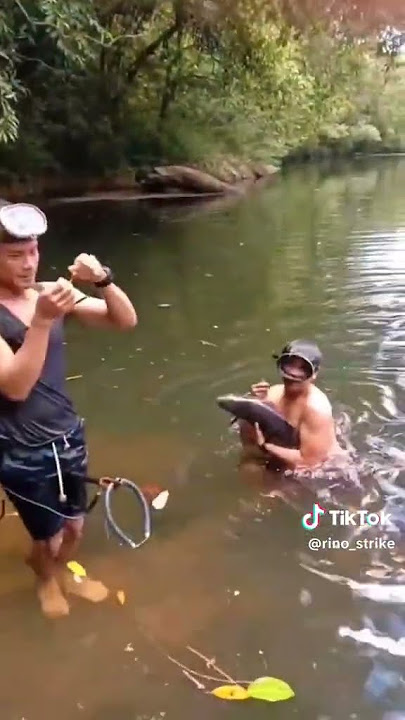 nembak babon masher atau sema