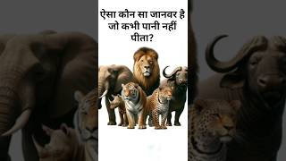 Aisa Kaunsa Janwar Hai Jo Kabhi Pani Nahi Peeta? 🤯 | GK Shorts #shorts #facts #generalknowledge #gk