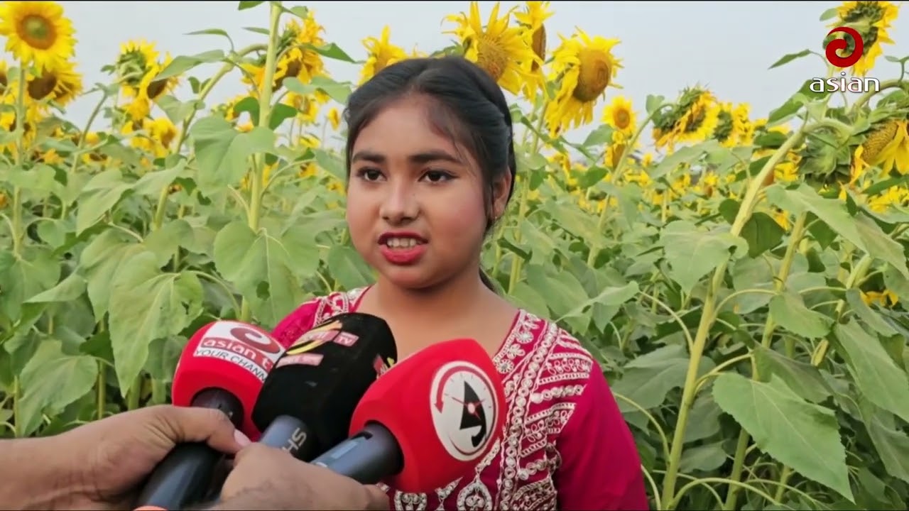 সূর্যমুখীর বাগানে নির্ধারণ করা হলো প্রবেশমূল্য | Asian Television