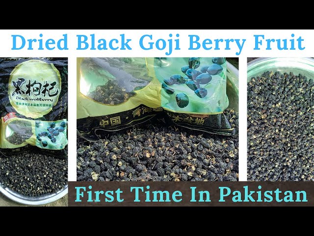 Affordable Wholesale goji berries meaning in urdu For Healthy Munching 