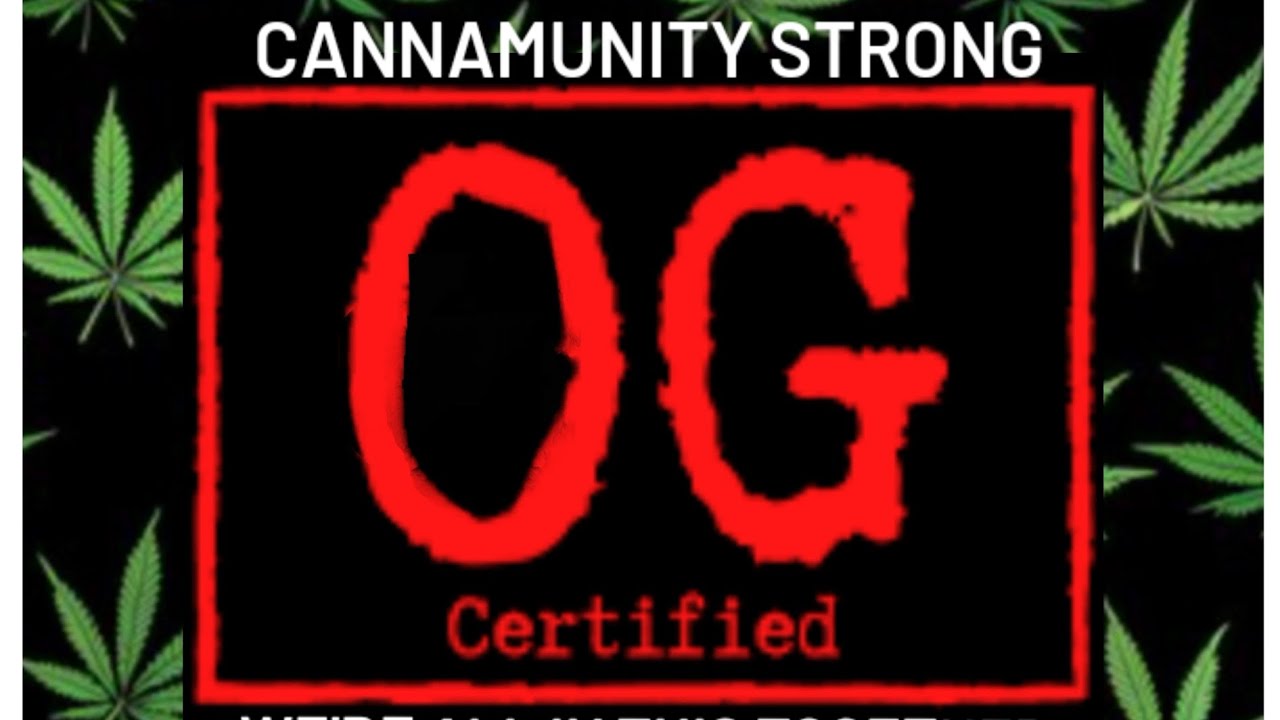 Загрузка КАННАКАНА автомобилями